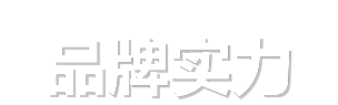品牌实力