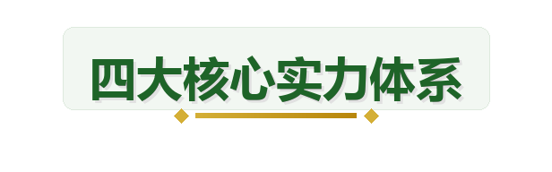 四大核心实力体系