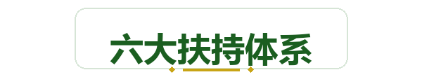 六大扶持体系